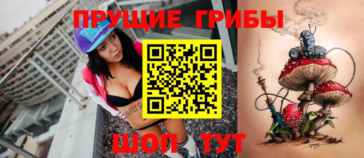 Галлюциногенные грибы Psilocybe  где купить наркоту  Вход с VPN  Урус-Мартан  Псилоцибиновые грибы Psilocybe 